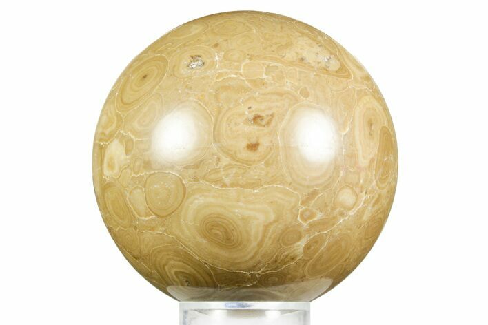 Polished Bird's Eye Jasper (Rhyolite) Sphere - Utah #371225